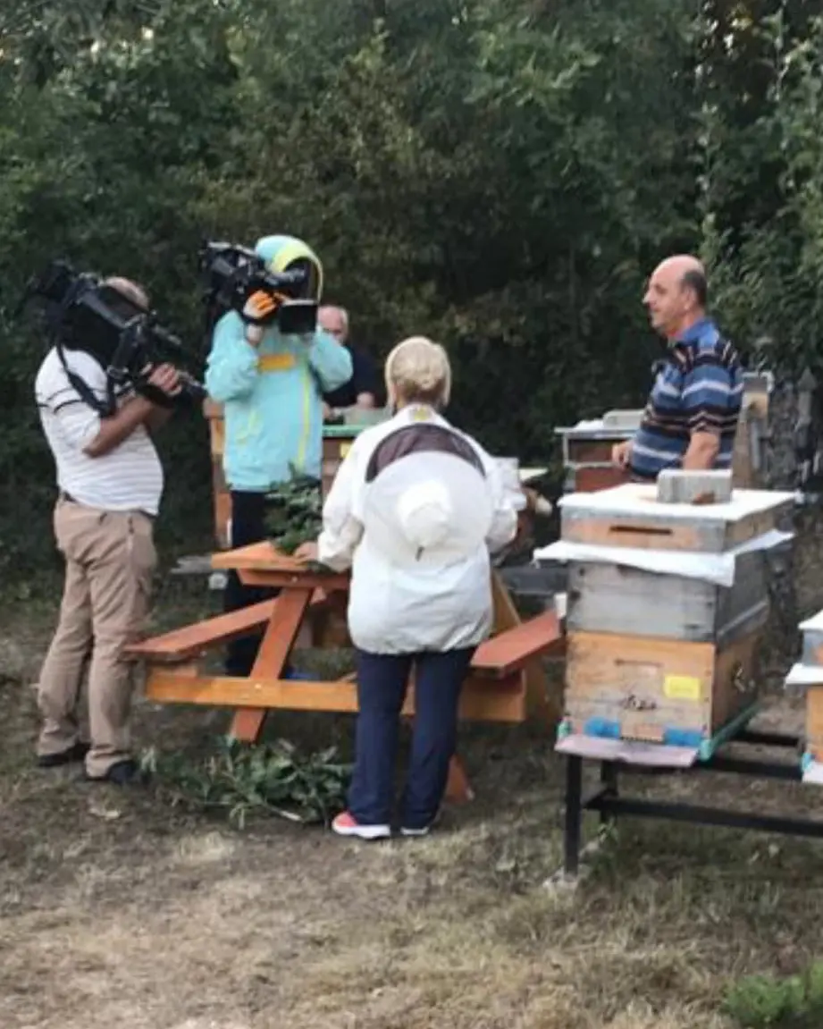 Ekkazan Arıcılık arılığında televizyon çekimi